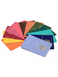 A-006 Обложка на паспорт глянец (яркие/ПВХ) 
